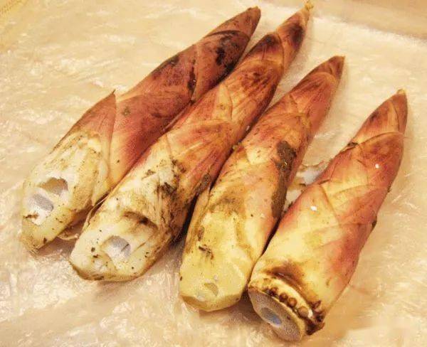 原产递no919德清早园笋