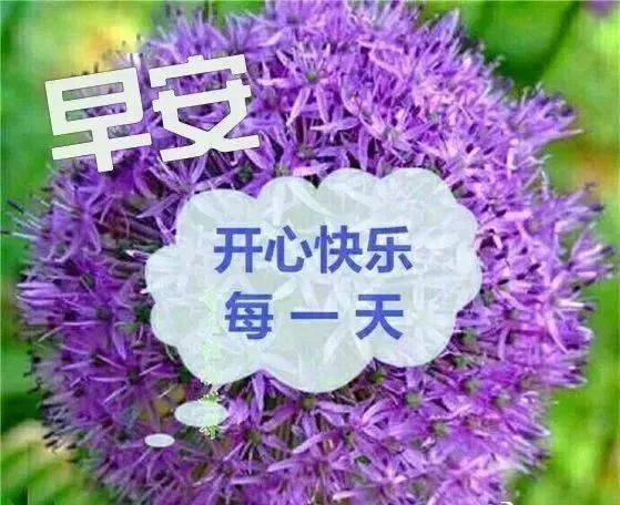 秋季早安祝福語圖片微信群發溫馨的早上好問候短信