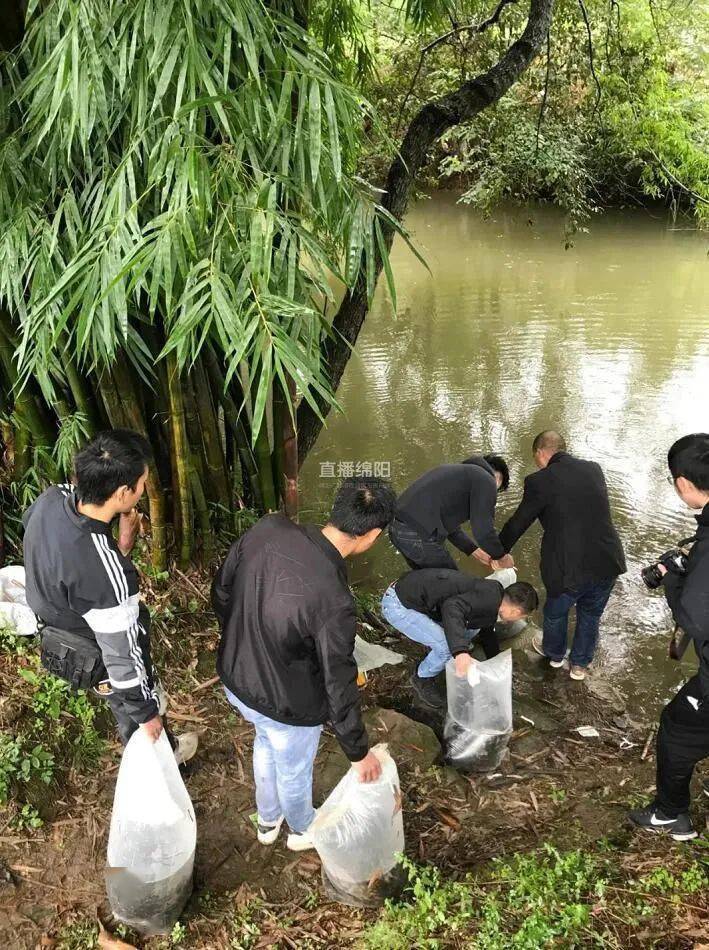 记者:吴柯君责编:张烨桐三台县融媒体中心通讯员:朱柳陶返回搜狐,查看