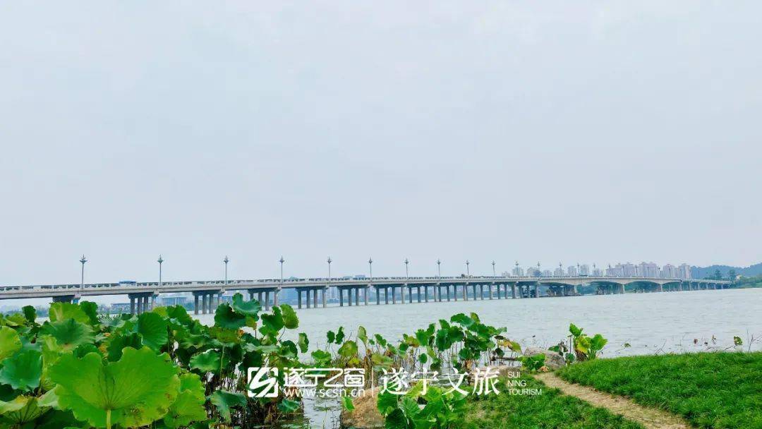 遂宁有6座大桥但绝大多数人只晓得其中2座更不晓得最后一座