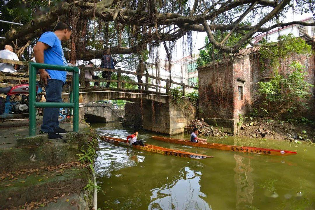 龙游星槎想不到星槎那么美