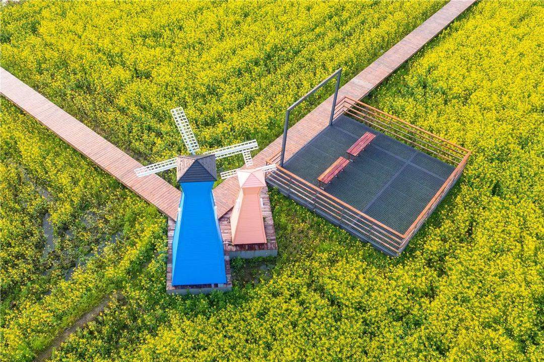 西塘国旅美丽乡村乐悠游之横港稻田音乐节喊你来报名