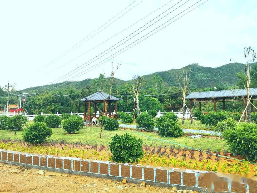 【村貌】马鞍山农场这个村竟然变成这样了.