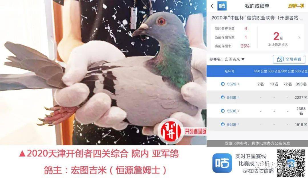 看点恒源詹姆士连赢4年开创春秋赛冠军家族血系首次公开