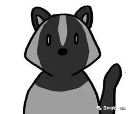 人称花面狸,青猺,破脸狗,因从鼻端至额顶部(延伸至颈背)有一明显的