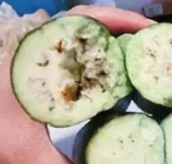 【病害】茄子黑心不可小视,提早预防降低损失