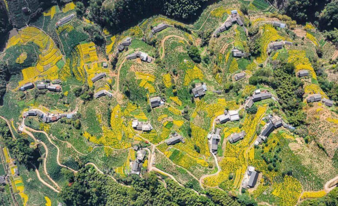 侵删)歙县汪满田村竹岭(图片来自朋友圈,作者不详.