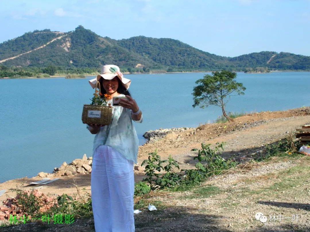 洋光村花堤风景美如画