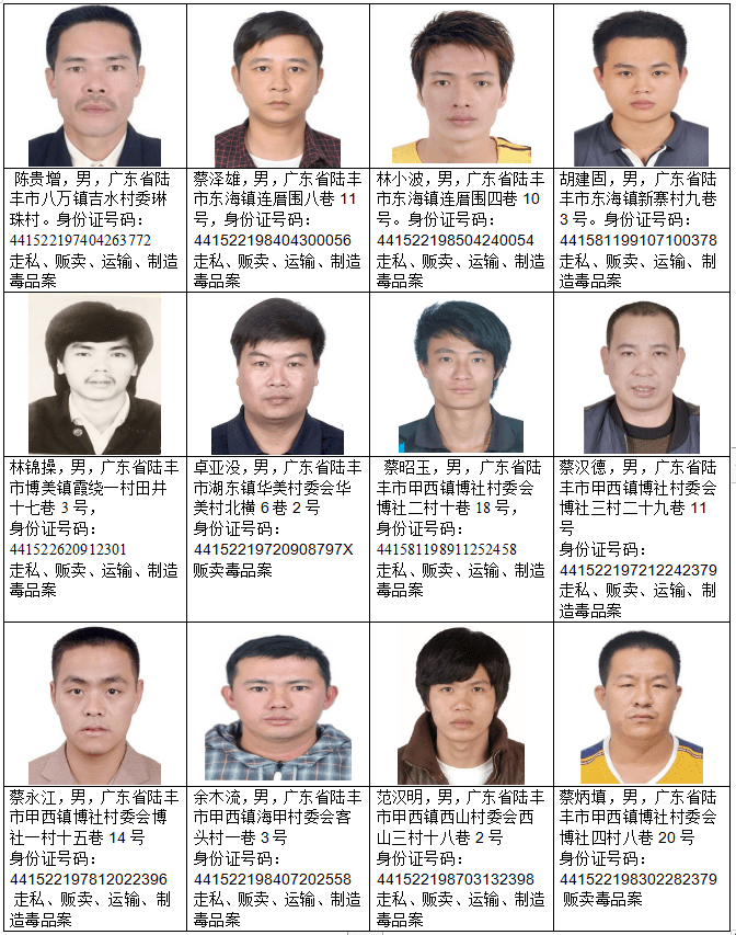 陆丰市公安局悬赏通告