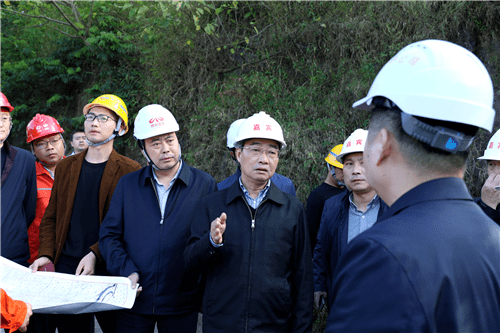 郭正强一行在乐西公司党委书记,董事长兰富安的陪同