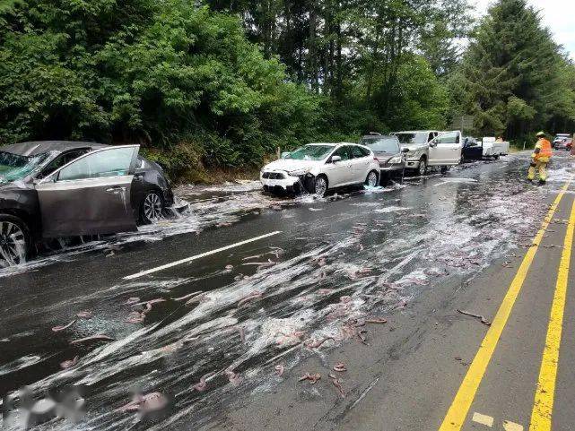 动物界反杀高手攻击盲鳗有风险分泌黏液瞬间膨胀一万倍