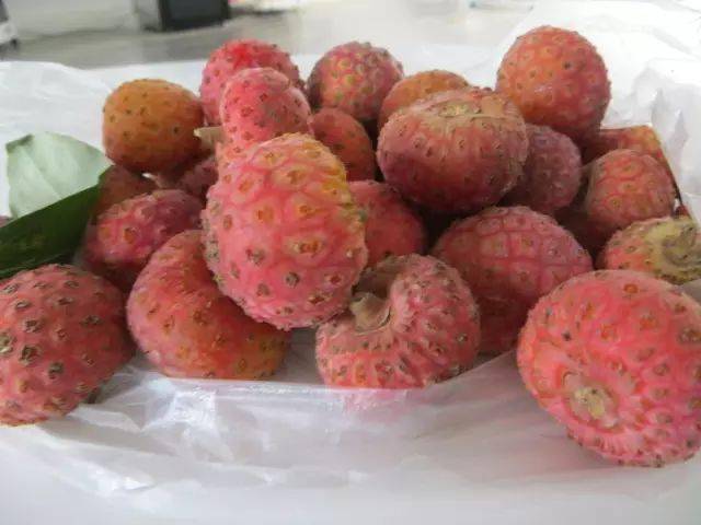 在丘北大山里,有一种美味叫"鸡嗉子"!