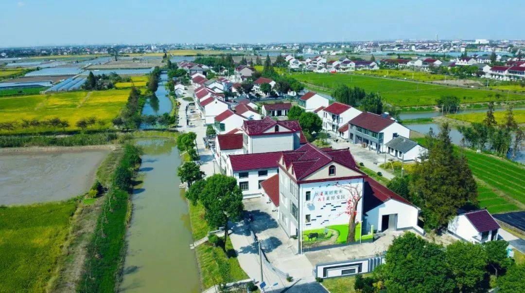 奉贤秋色大合集来啦!你想看的秋日盛景必须安排!