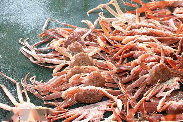 美味霸屏韩国雪蟹秋季上市肉质晶莹剔透吃货们有口福了