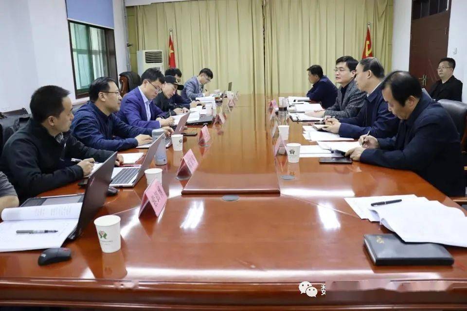 政府县长高巍与中国国际工程咨询有限公司专家团队一行进行座谈