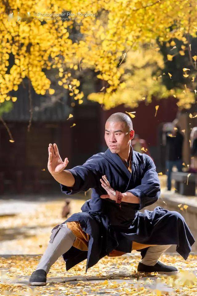 景区推荐震撼千年银杏邂逅少林功夫