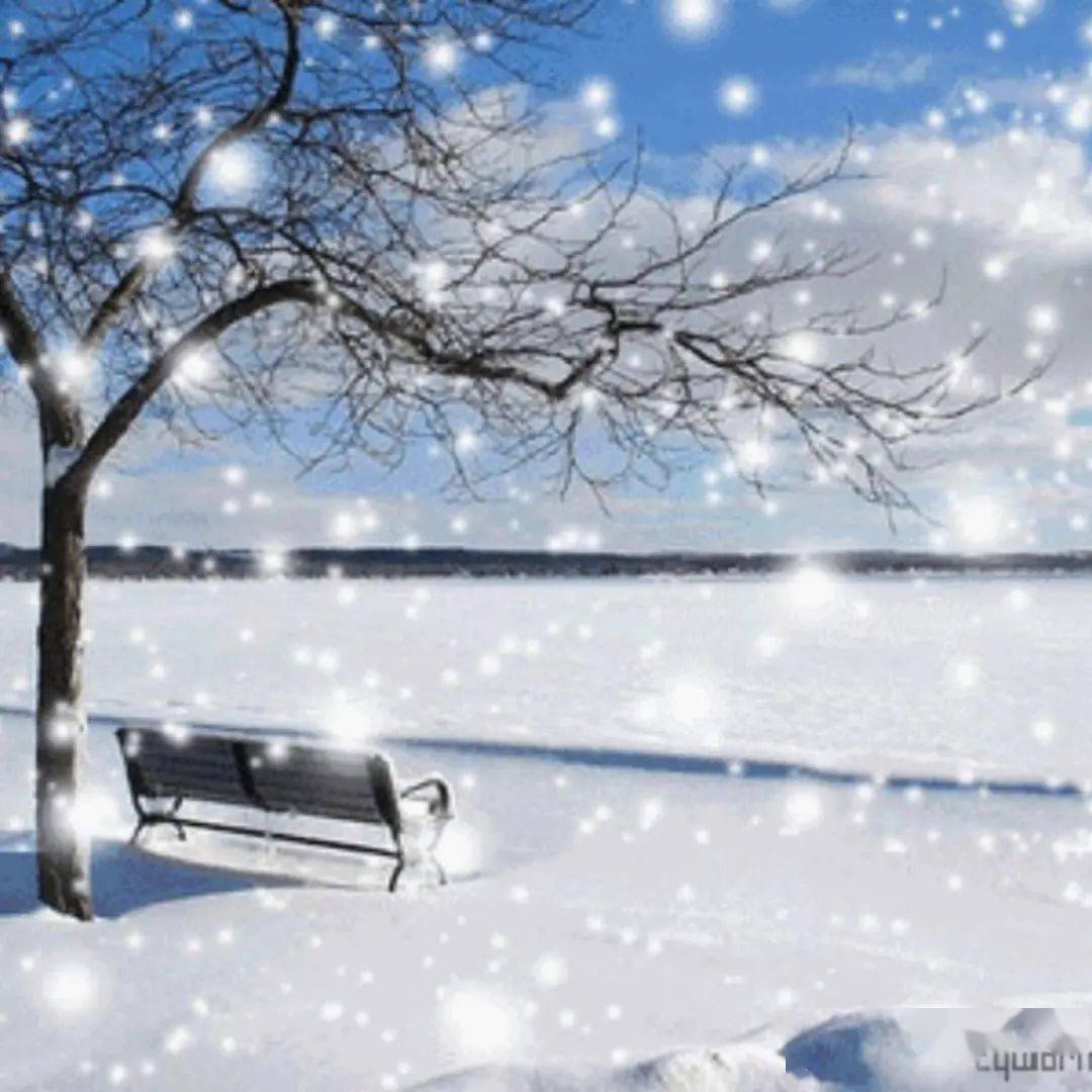 【云课程悦读】经典有约《雪花的快乐》