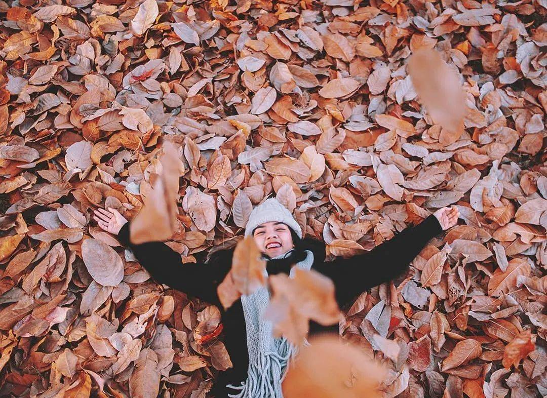 秋天落叶的5大创意拍法照片让人眼前一亮