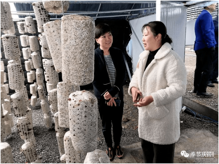 致富标准是多少(致富需要做的6件事)