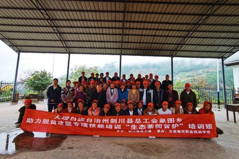 剑川县象图乡丰登村64个村民取得了生态茶园管护合格证书