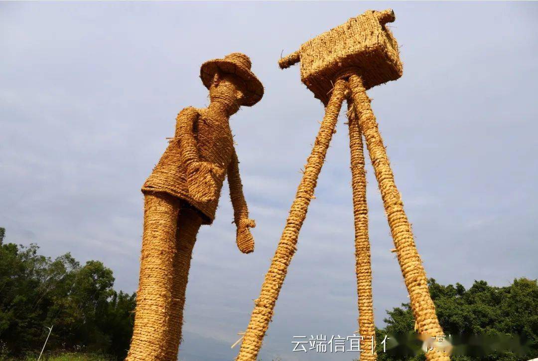 在大榕树驿站旁边,稻田乐园正在加快建设,栈道,小火车轨道向乐园用地