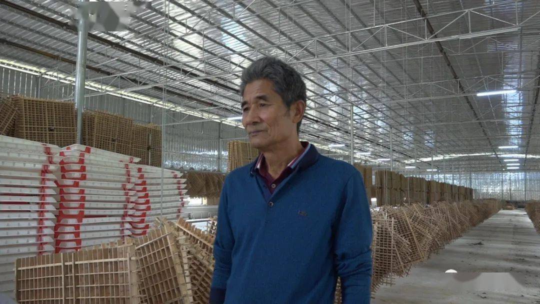 蒙山县兆丰农业科技有限公司董事长陈兆林"蒙山县高标准养蚕基地,五丰