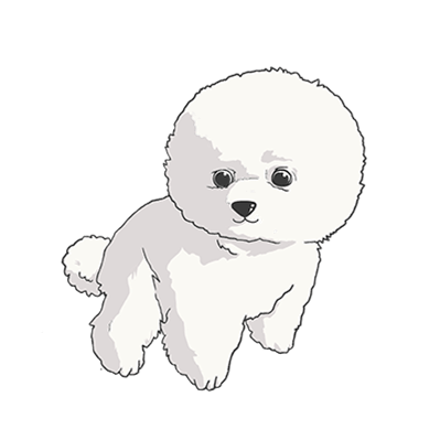 的金色滤镜加美颜圆梦吊桥的七彩色第一眼吸引人的绝大部分是颜代表点