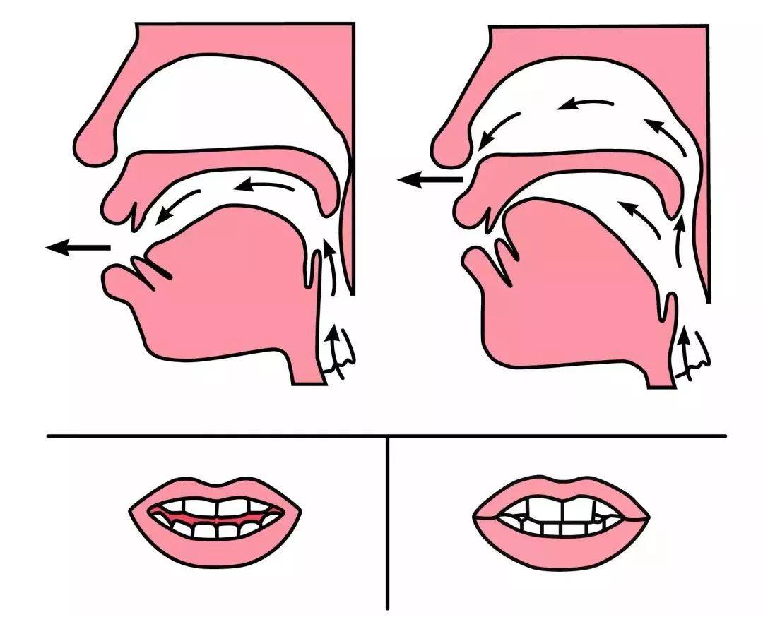 en:由e舌位开始发音,舌头平放,结尾时舌尖也抵到上牙龈结束发音,发完