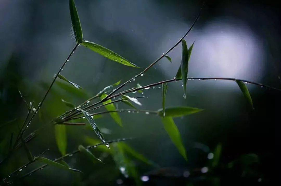 然而,人生富贵如浮云,是非成败转头空,常常苦心追寻的东西到头只不过