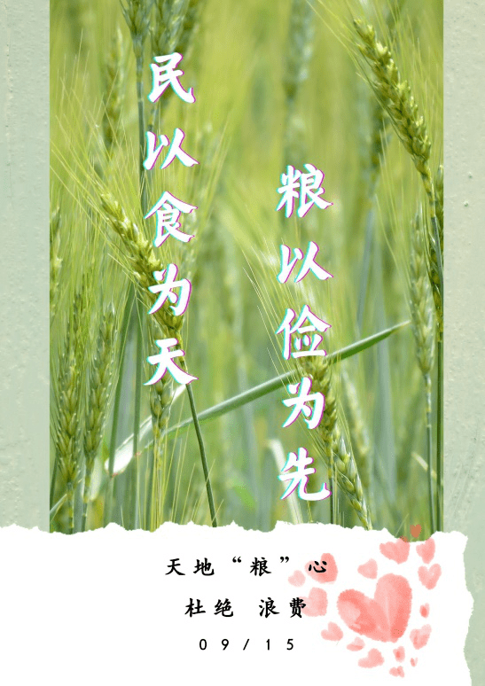 公示关于节约粮食从点滴做起请跟我一起行动公益宣传大赛获奖名单公示