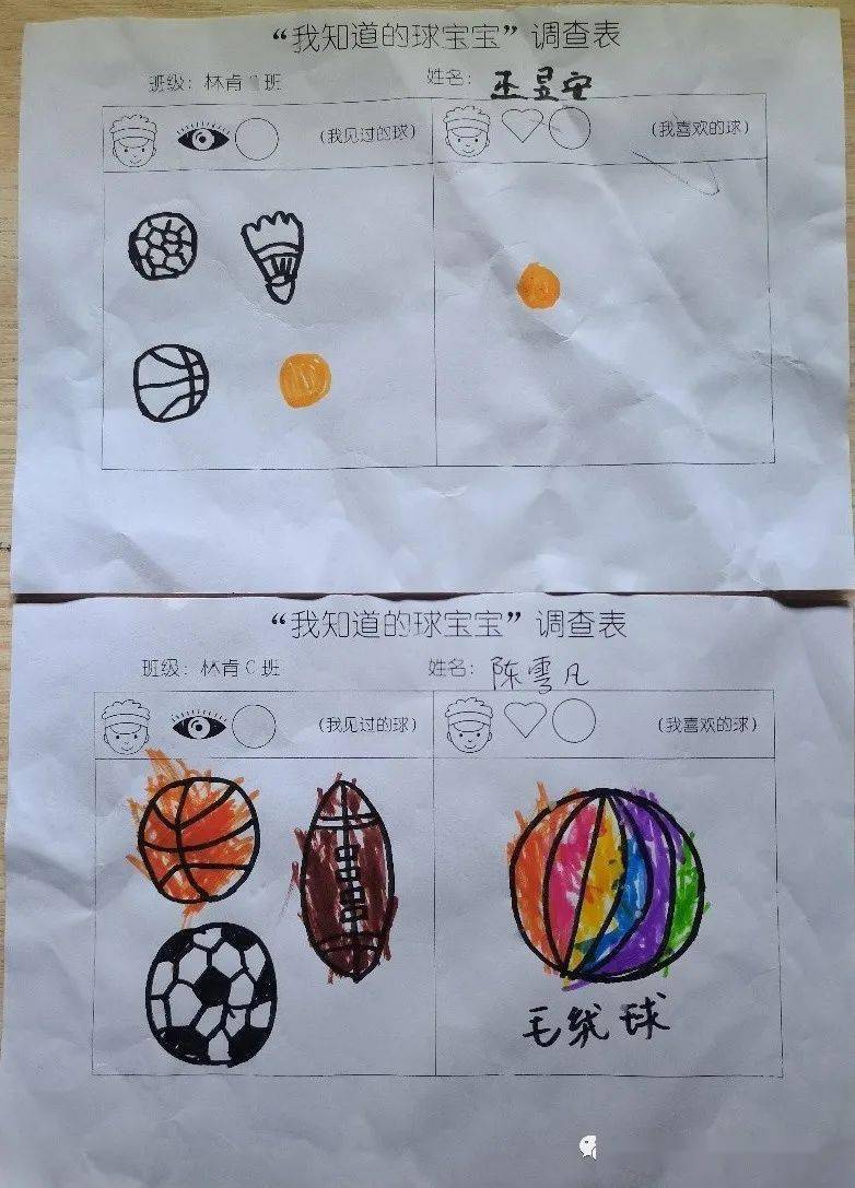 在开展活动前,小朋友们拿到了一张《我知道的球宝宝调查表》.