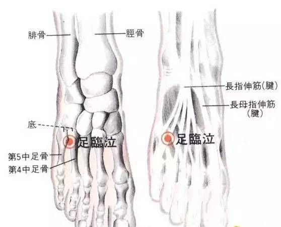 腳上有一個穴位能幫你打開任督二脈是真的嗎我來為你破譯吧