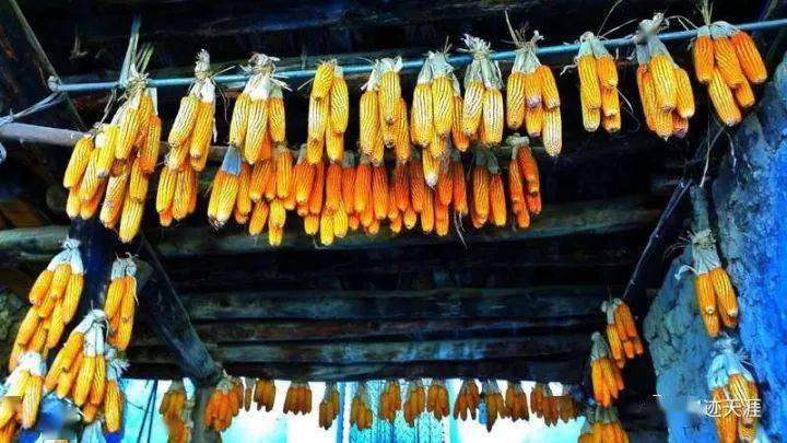 农历中国 | 九月廿三 · 迎冬