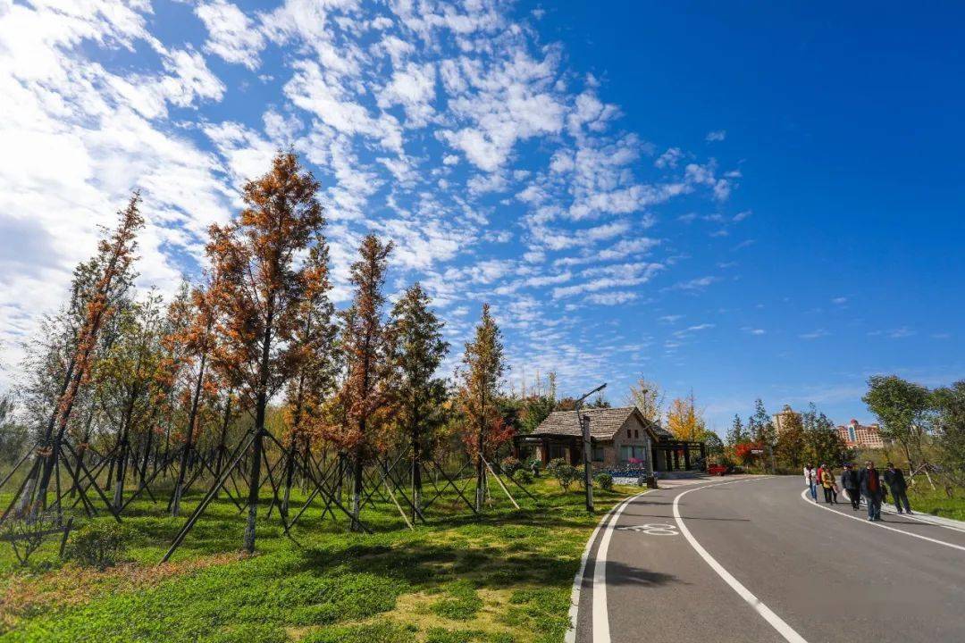 威宁最美的秋尽在草海北坡