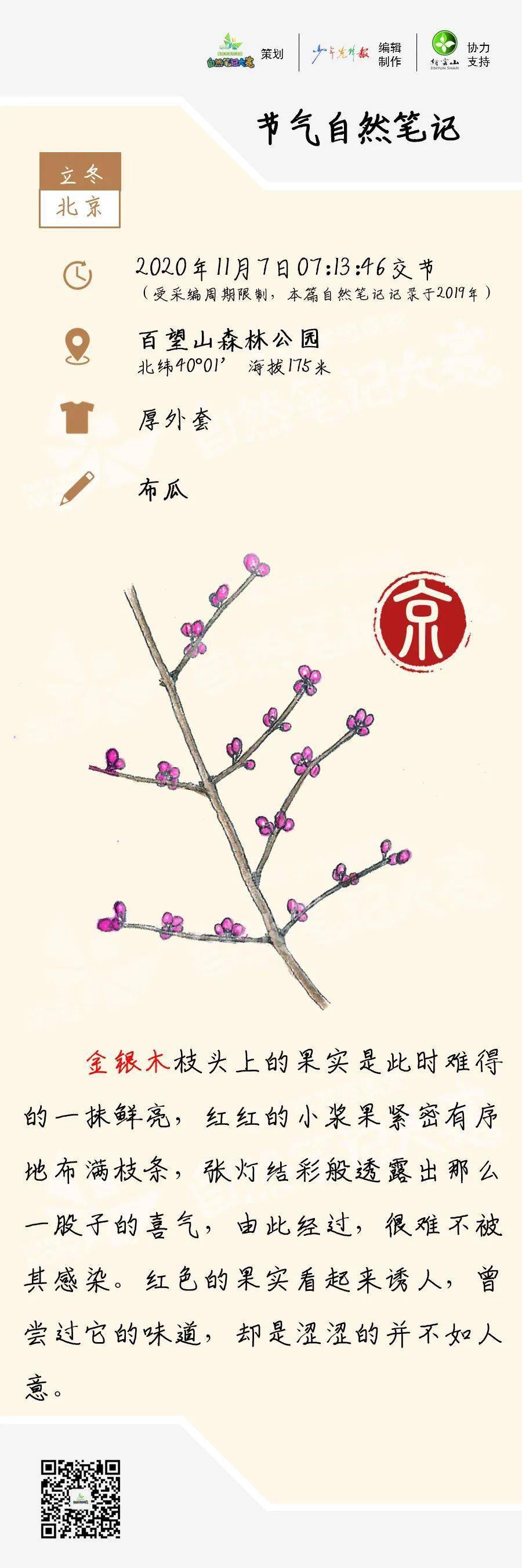节气立冬自然笔记