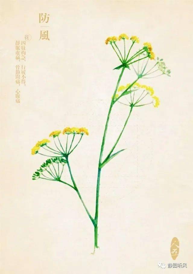 何国庆丨我不是隔壁老王