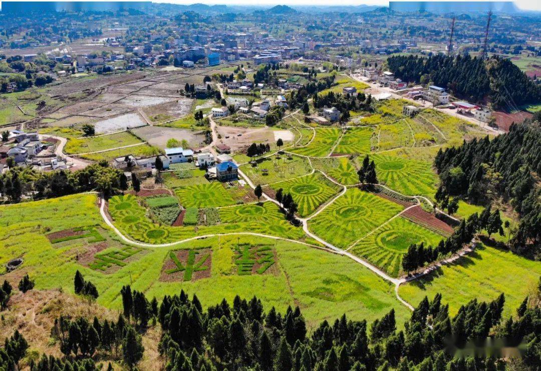 安岳这个地方被评为农村疫情防控先进村!