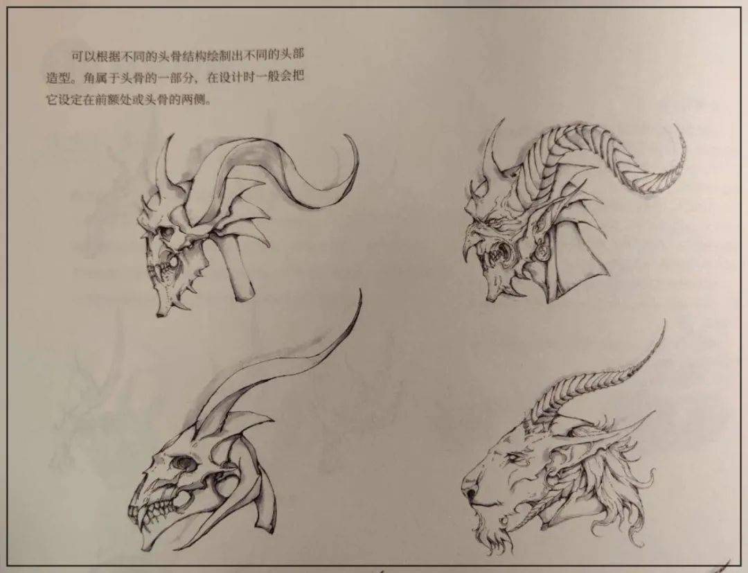 在此基礎上,作者對各種動物的形體結構特點進行了簡要的說明,並給出可