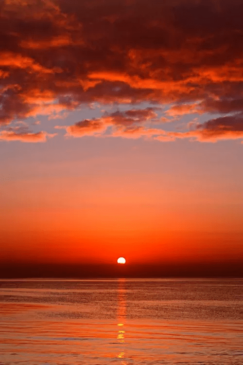 莫道桑榆晚最美夕阳红