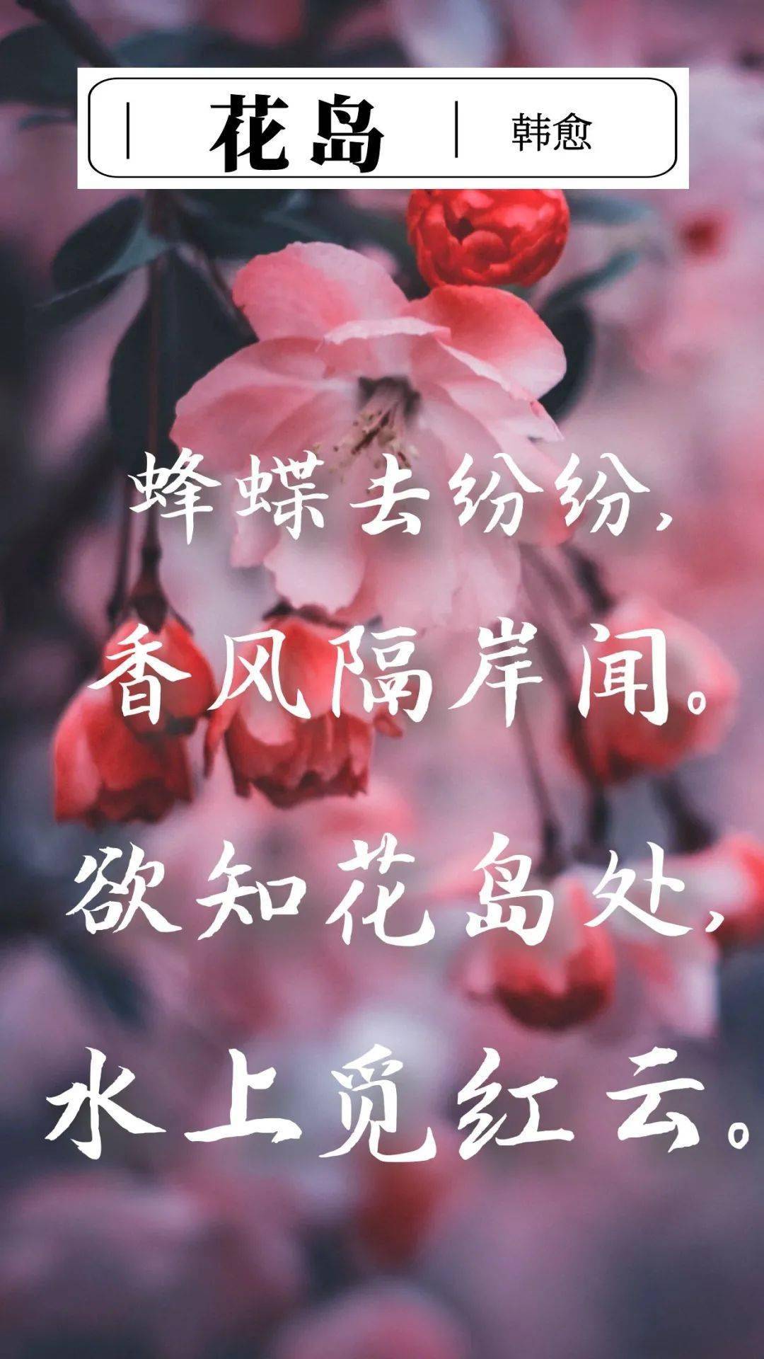 花岛诗配画图片