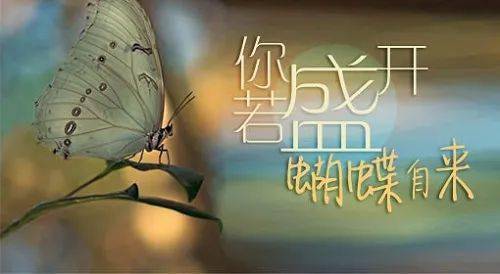 神奇的种子法则意念具有不可思议超能量