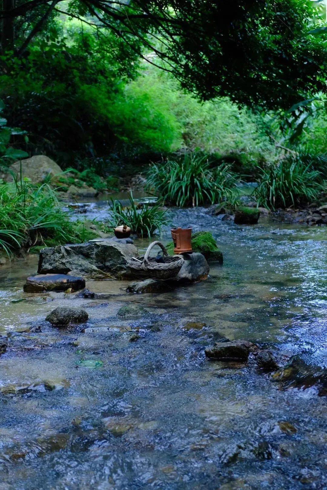 感悟人生清静是最难得的清福