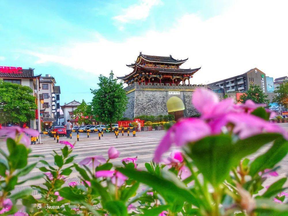 道路平整,干净清爽,花木葱茏,令人赏心悦目,宁洱县"美丽县城"建设让