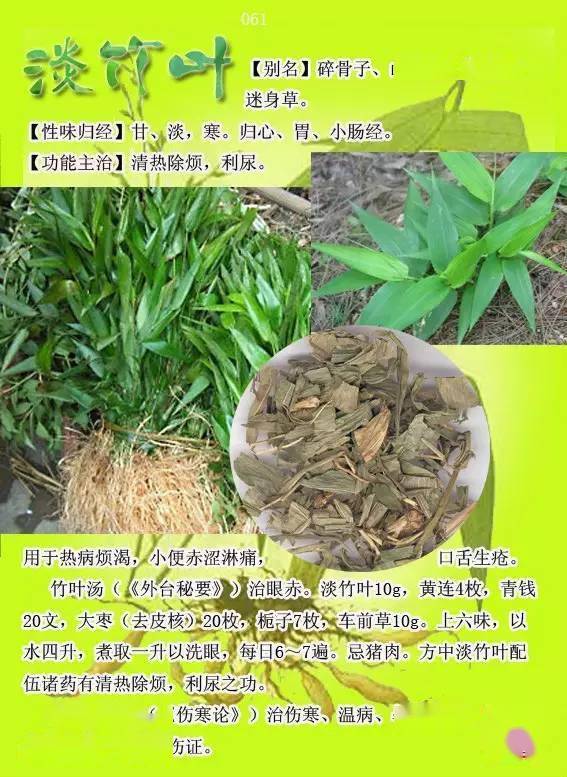 300种常见中草药图谱