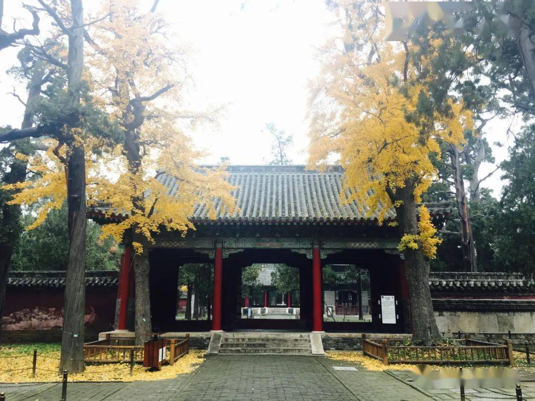 征文大赛我和我的孟府故事征文大赛