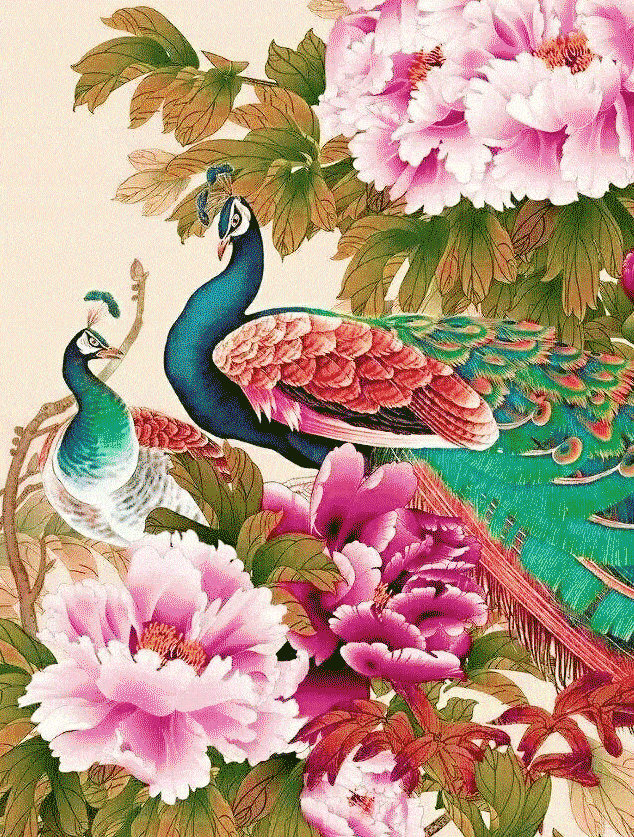 634_837竖版 竖屏gif 动态图 动图