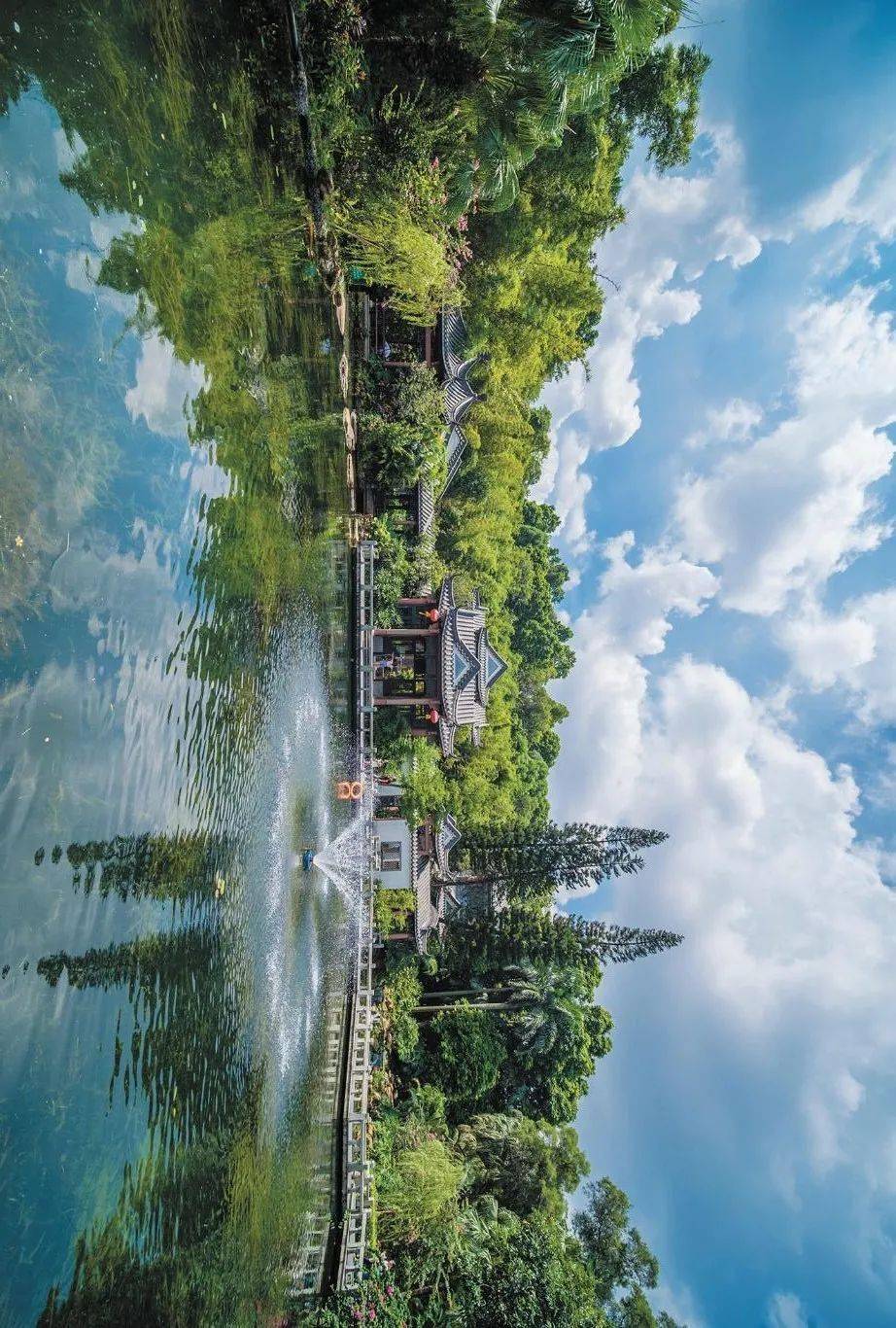 摄高埗望牛墩清溪樟木头中堂石碣洪梅厚街长安虎门寮步大岭山