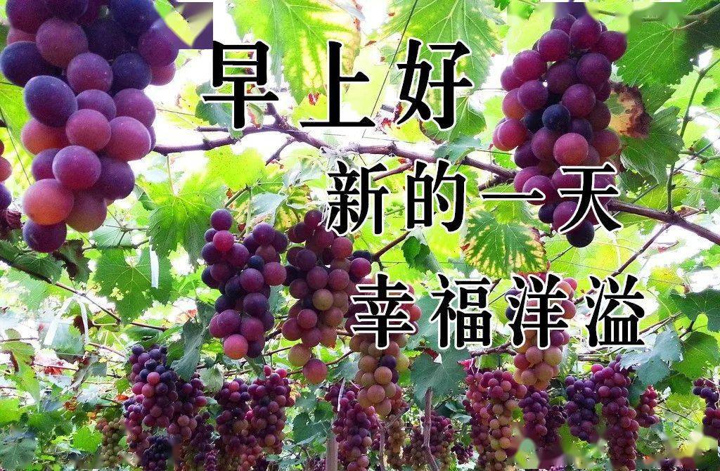 11月12日最漂亮早上好动态表情图片大全