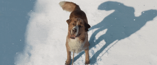 由于采用了全新的技术,阿拉斯加壮阔的地理特征被完全表现了出来.