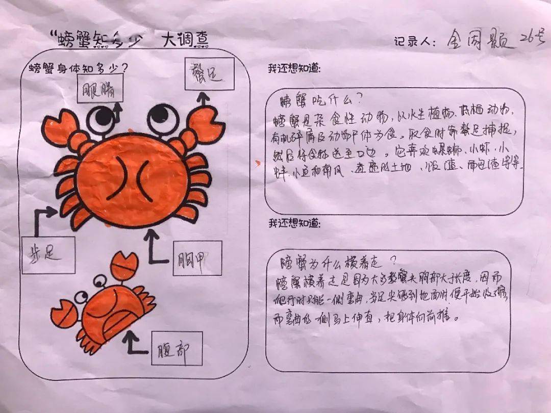 【课程故事】秋天的"蟹"逅——中五班_螃蟹